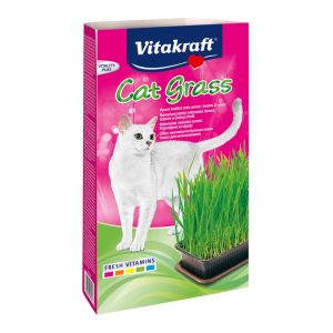 Cat Grass  Γρασίδι για γάτες 120gr