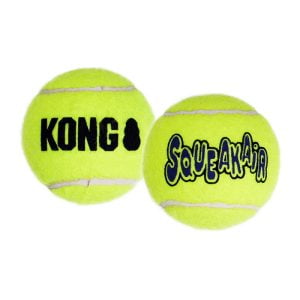 Squeakair Tennis