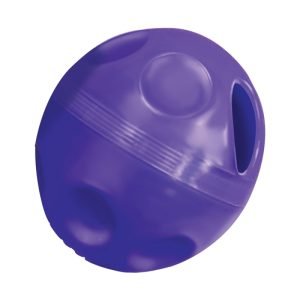 Treat Ball