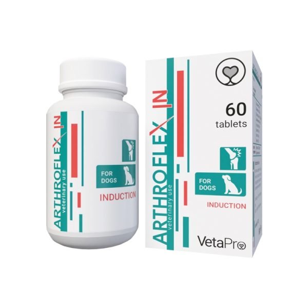 ArthroFlex ΙΝ 60tabs