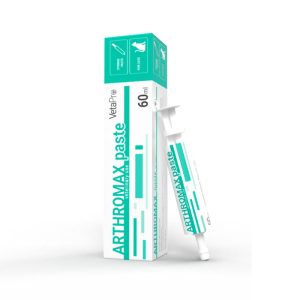 Arthromax Cat paste σε σύριγγα