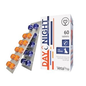 Day & Night 60 ταμπλέτες