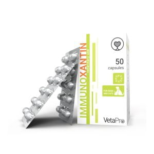 Immunoxantin  50 κάψουλες