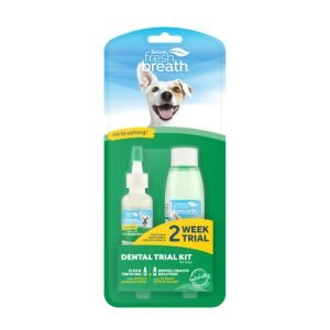 Clean Teeth Oral Care 2 Weeks Trial