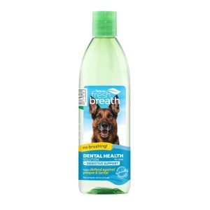 Oral Care Water Additive Digestive Support