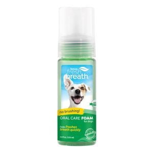 Oral Care Foam