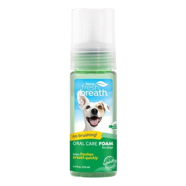 Oral Care Foam