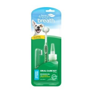 Oral Care Kit