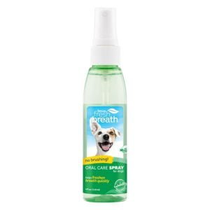 Oral Care Spray