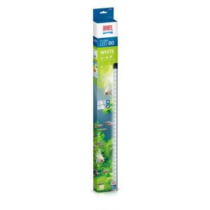 Λάμπα Novolux LED 80 White