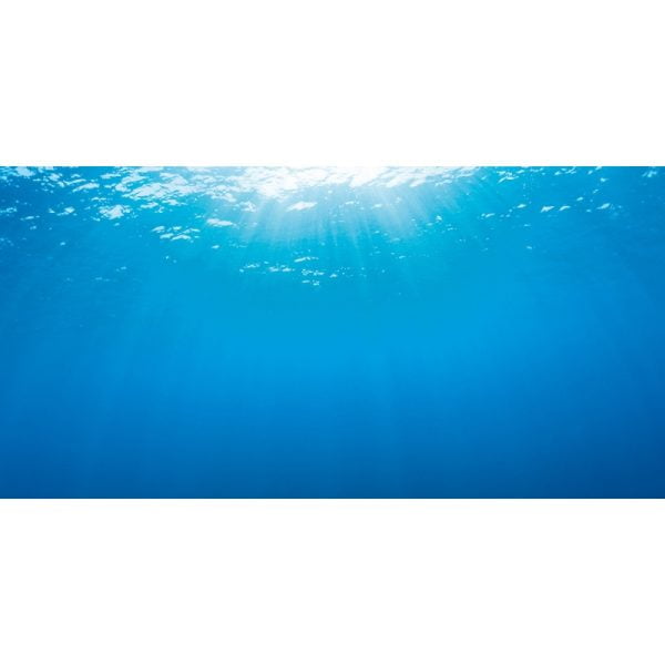 Poster 2 L - Image 3
