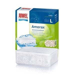 Amorax
