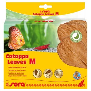 Sera Catappa Leaves