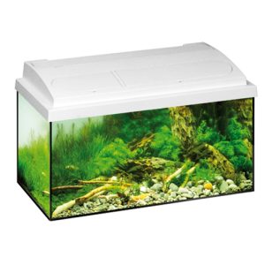 Aquastar 54lt Λευκό