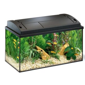 Aquastar 54lt Μαύρο