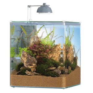 Aquastyle 35lt