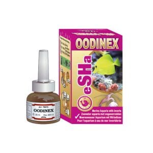 Esha Oodinex