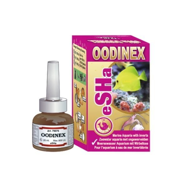 Esha Oodinex
