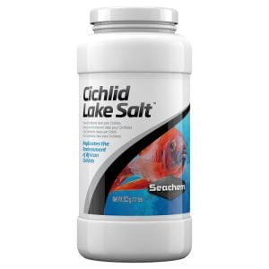 Cichlid Lake Salt