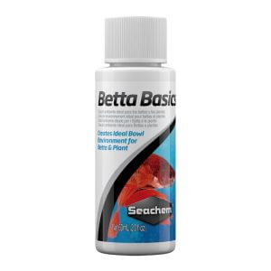 Betta Basics
