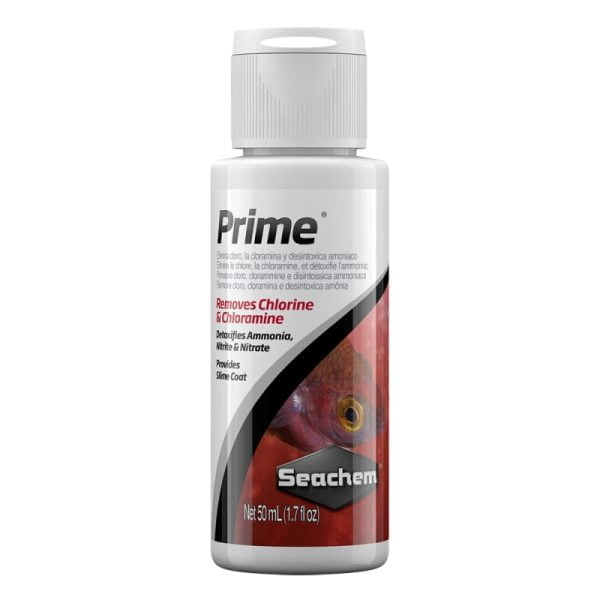 Prime
