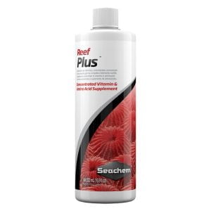 Reef Plus