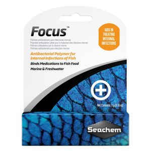 Focus 5gr