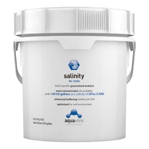 Salinity