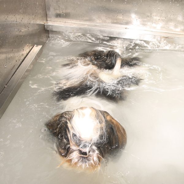 Micro Bubble SPA Tub - Image 2