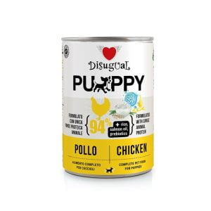 Disugual Puppy