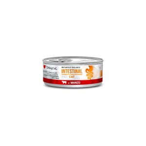 Disugual Diet Cat - Intestinal