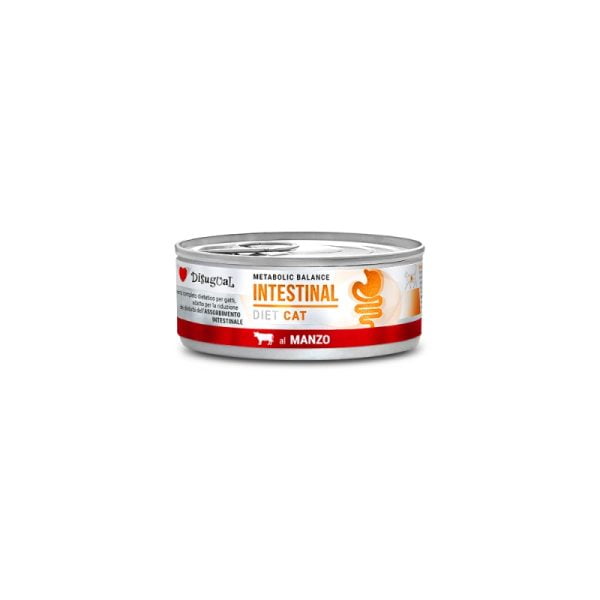 Disugual Diet Cat - Intestinal