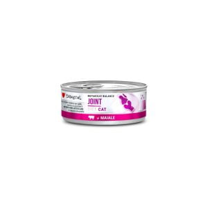 Disugual Diet Cat - Joint