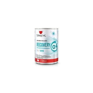 Disugual Diet Dog - Recovery