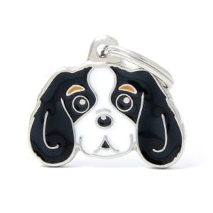 Ταυτότητα Friends Cavalier King Charles