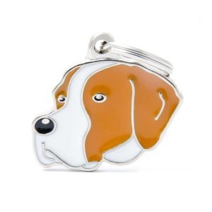 Ταυτότητα Friends English Pointer Λευκό-Πορτοκαλί