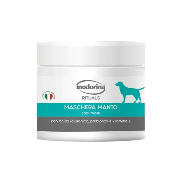 INODORINA Μάσκα ανάπλασης τριχώματος 100ml