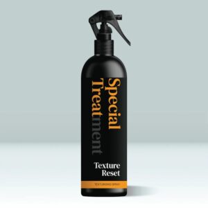 Special Treatment Texture Reset Spray