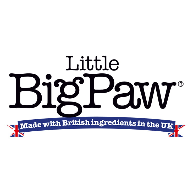 Little Big Paw